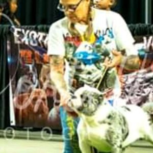 Meet your Posher, Wanda